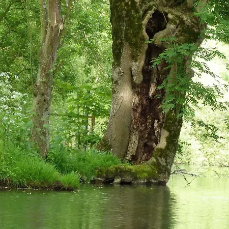 Vakantiehuis Moulin De La Papeterie La Creche